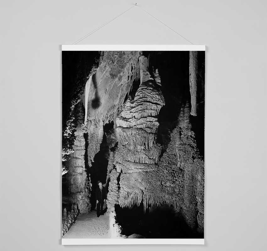 Ansel Adams Carlsbad Caverns National Park New Mexico 2 Hanging Poster - Wallart-Direct UK