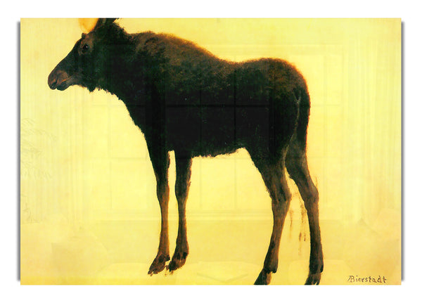 Elk von Bierstadt