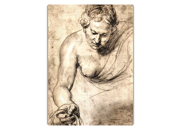 Female Figure By Rubens