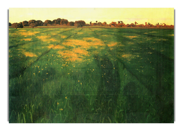 Feld mit grünem Hafer von Felix Vallotton