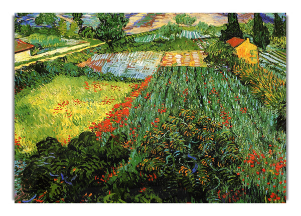 Feld mit Mohnblumen von Van Gogh