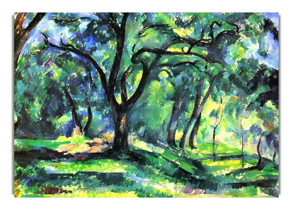 In The Woods By Cezanne