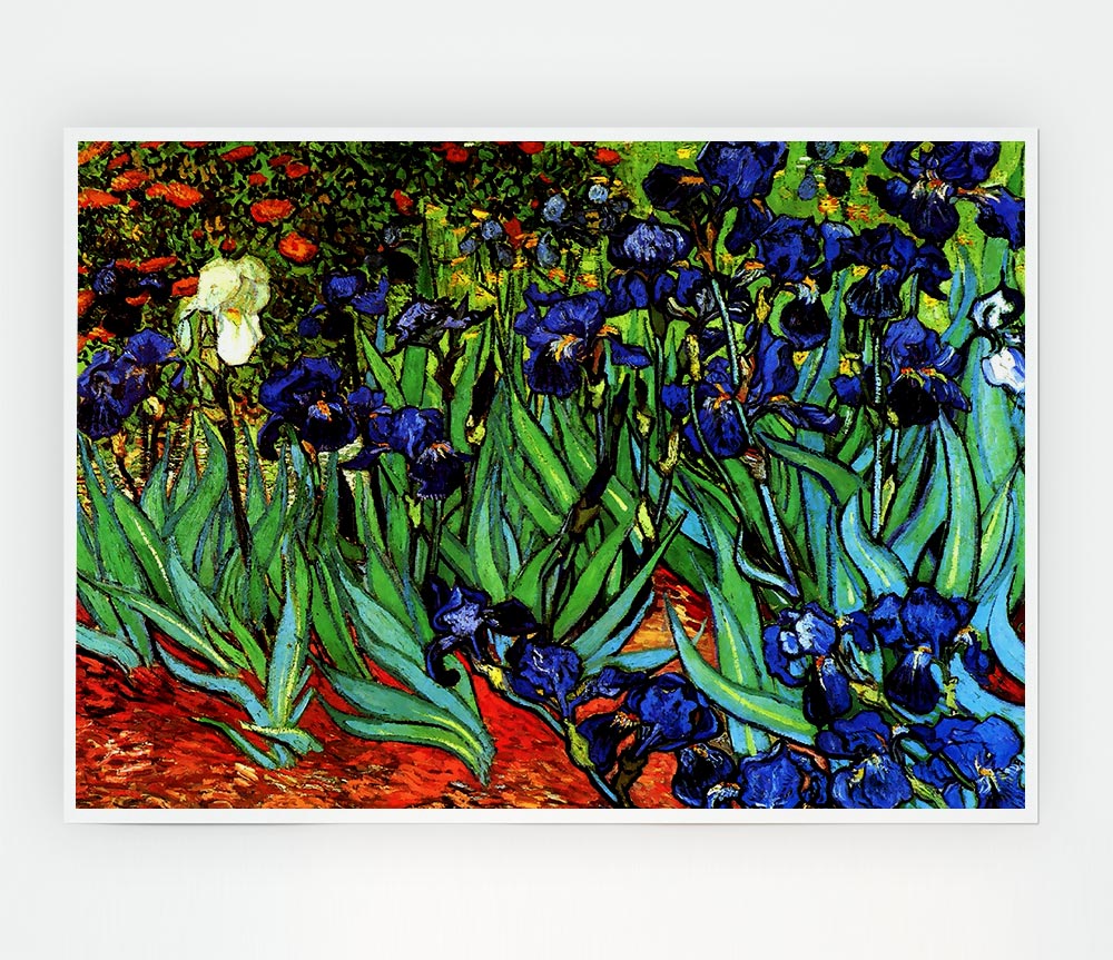 Van Gogh Irises 2 Print Poster Wall Art