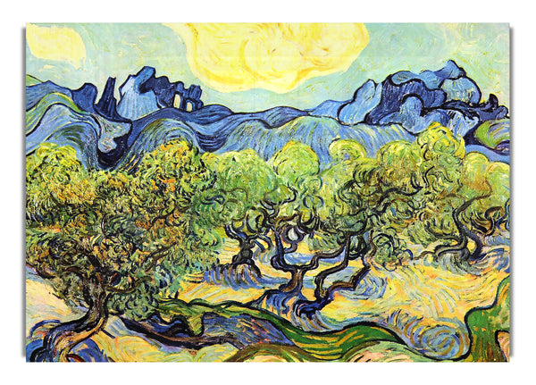 Landscape With Olive Trees By Van Gogh