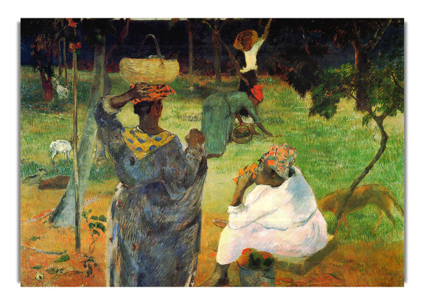 Mango Fruit By Gauguin