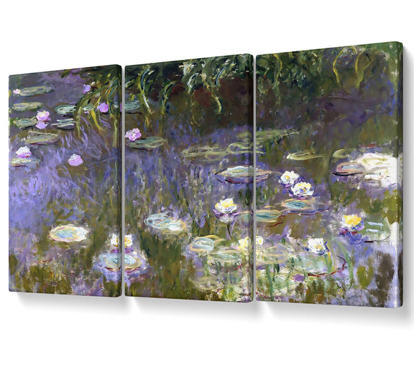 Monet Water Lilies