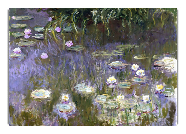 Monet Water Lilies