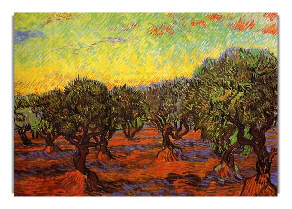 Olive Grove Orange Sky By Van Gogh