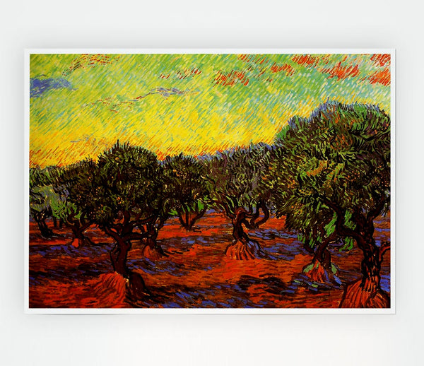 Van Gogh Olive Grove Orange Sky Print Poster Wall Art