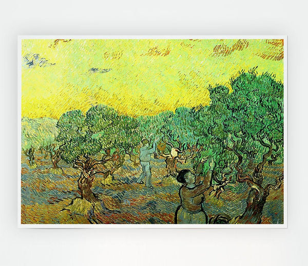 Van Gogh Olive Pickers In A Grove Print Poster Wall Art