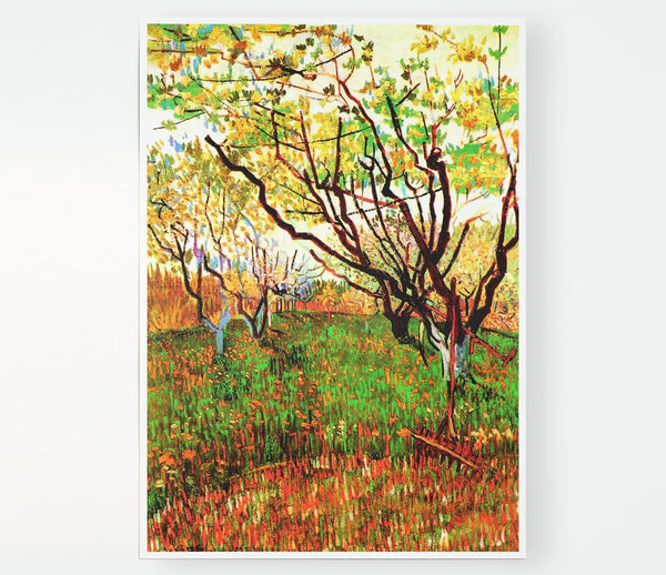 Van Gogh Orchard In Blossom Print Poster Wall Art