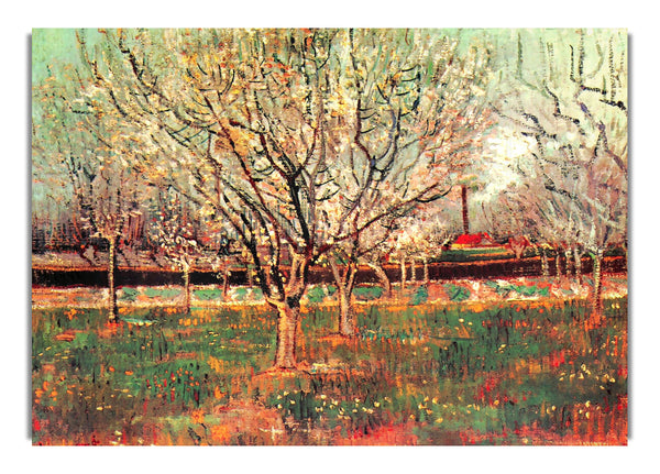 Orchard In Blossom Plum Trees By Van Gogh