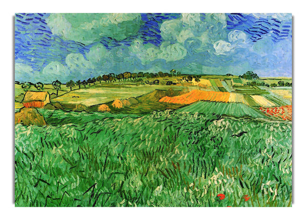 Plain Near Auvers By Van Gogh