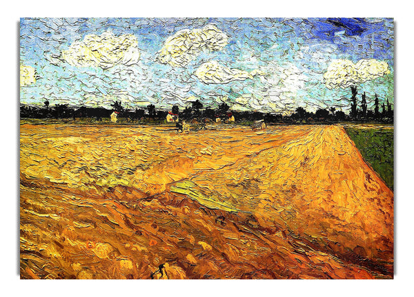 Ploughed Field By Van Gogh