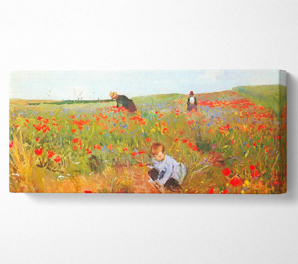 Cassatt Poppy In The Field