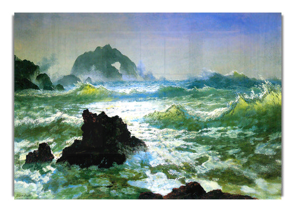 Seal Rock 2 von Bierstadt