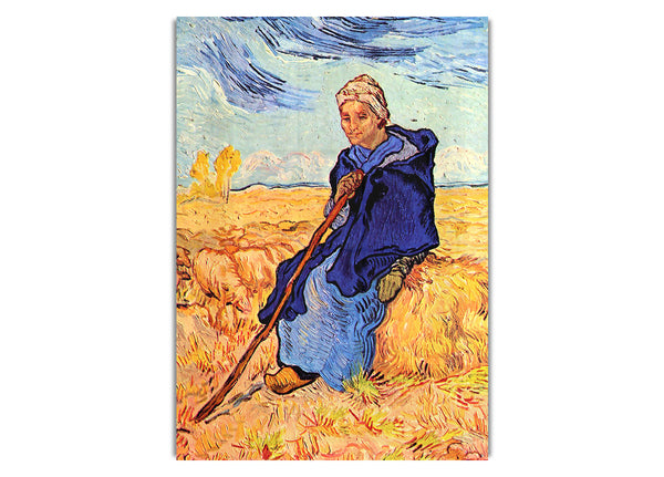 The Shepherdess By Van Gogh