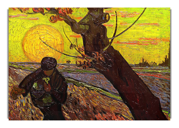 The Sower By Van Gogh