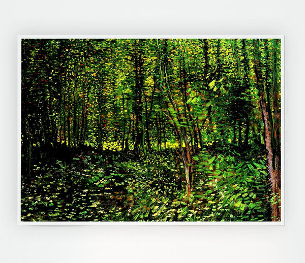 Van Gogh Trees And Undergrowth 2 Print Poster Wall Art