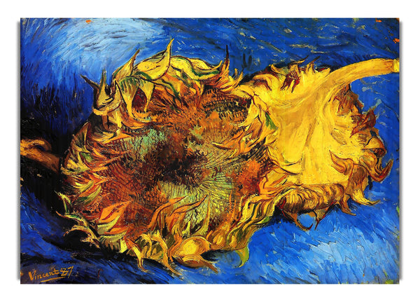 Two Cut Sunflowers [3] By Van Gogh