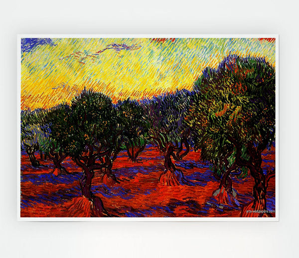 Van Gogh 1889 Olive Grove Print Poster Wall Art