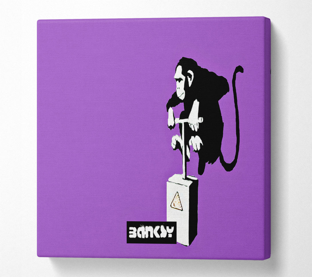 A Square Canvas Print Showing Monkey Detonator Purple Square Wall Art