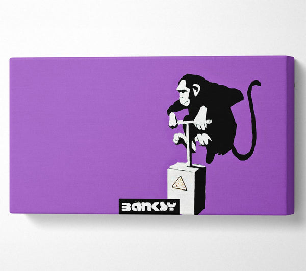 Monkey Detonator Purple