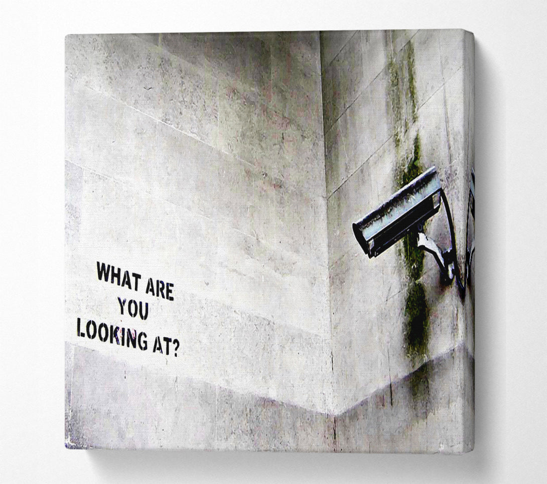 A Square Canvas Print Showing What Are You Looking At Square Wall Art