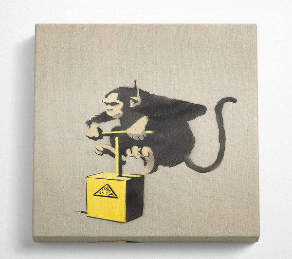 A Square Canvas Print Showing Monkey Detonator Square Wall Art