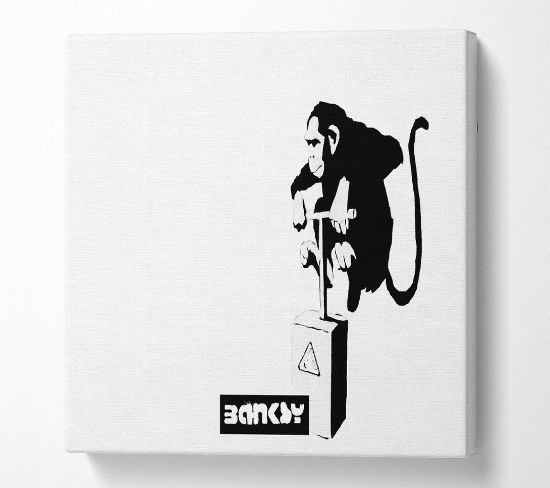 A Square Canvas Print Showing Monkey Detonator White Square Wall Art