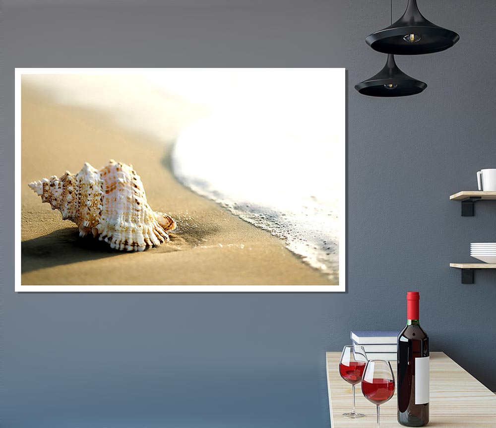 Whelk Shell On The Beach 2 Print Poster Wall Art