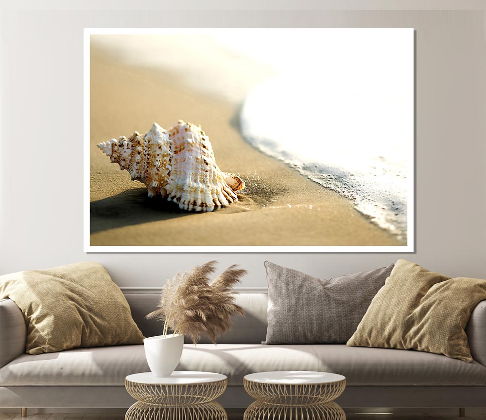 Whelk Shell On The Beach 2 Print Poster Wall Art