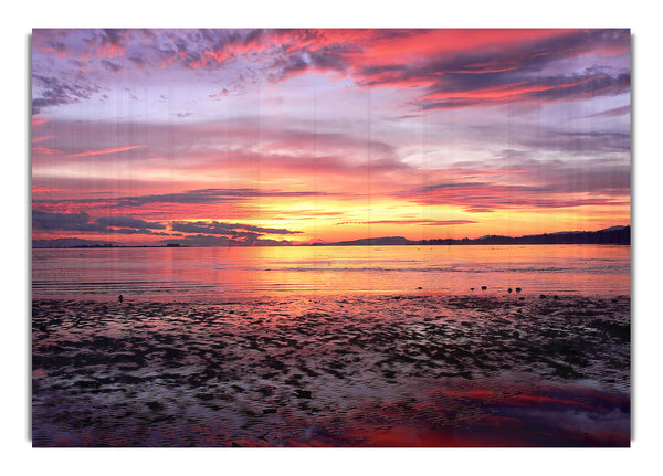 Comox Sonnenaufgang