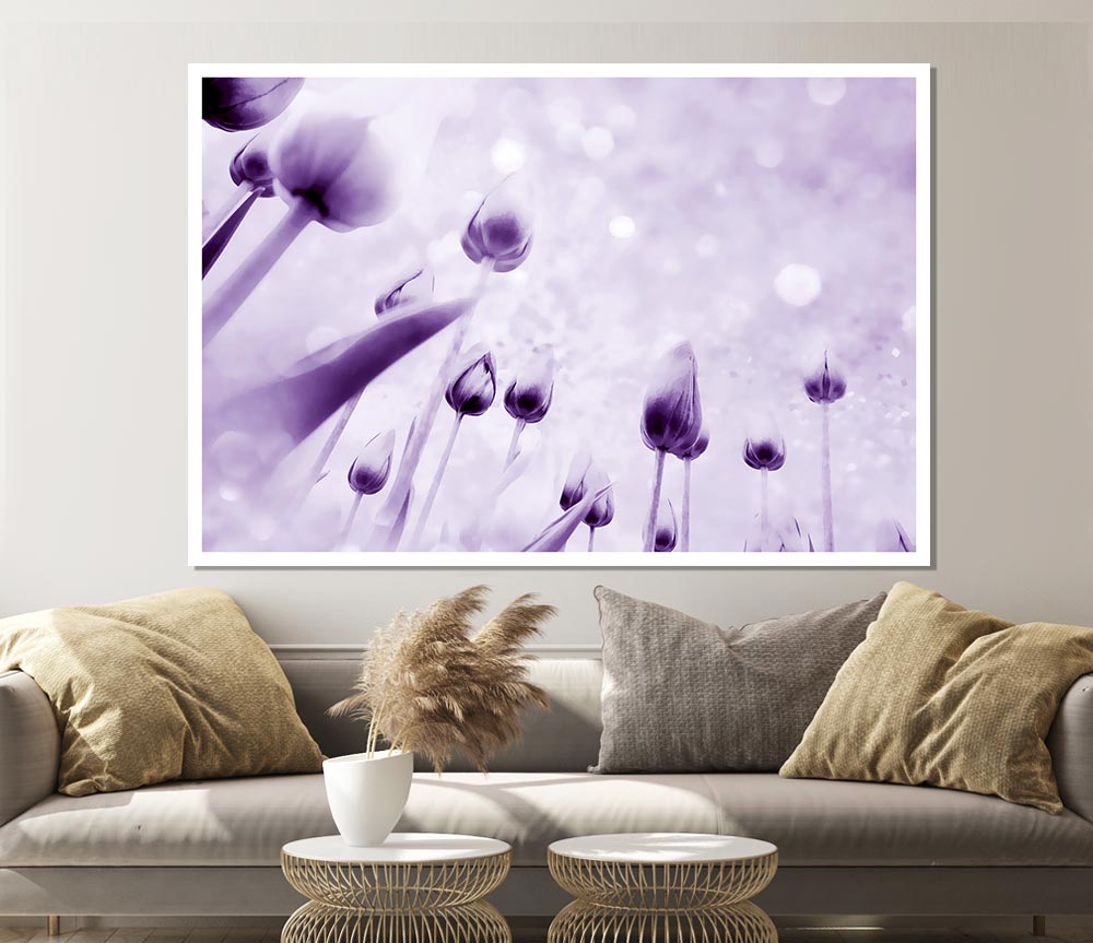 Attention Lilac Print Poster Wall Art