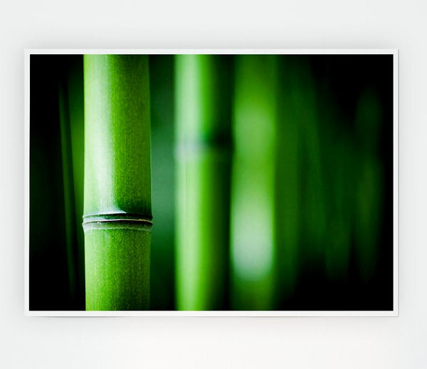 Green Bamboo Close Up Print Poster Wall Art