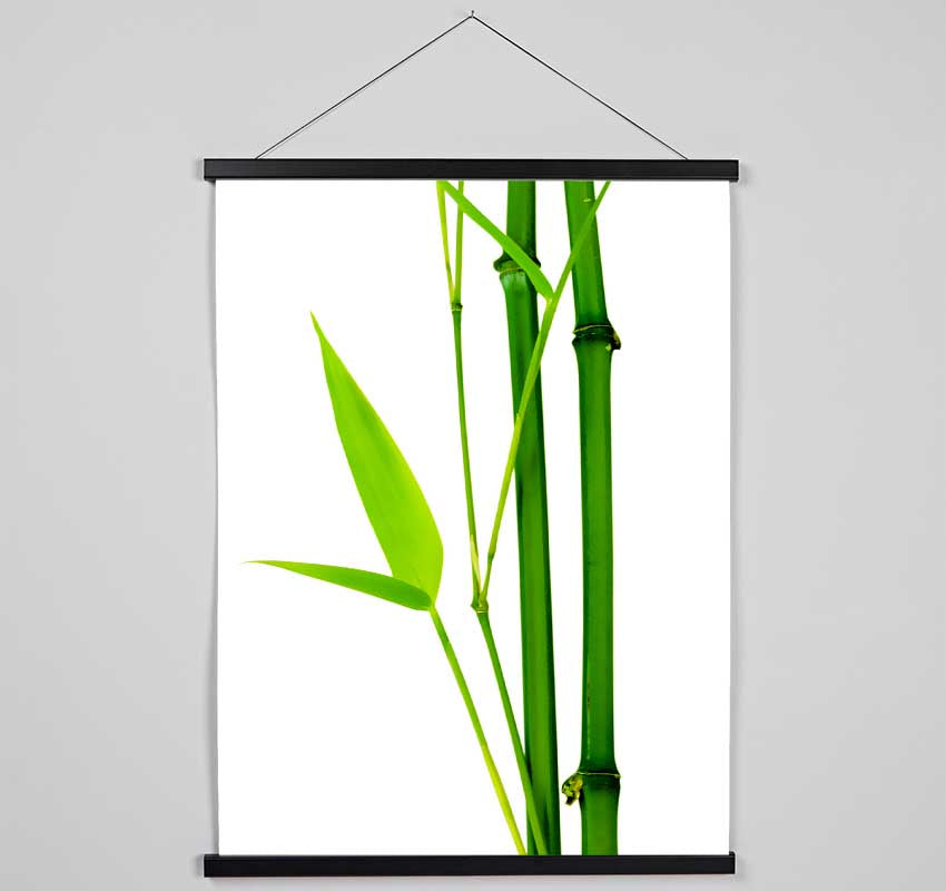 Bamboo Cane Hanging Poster - Wallart-Direct UK