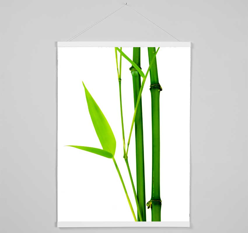 Bamboo Cane Hanging Poster - Wallart-Direct UK