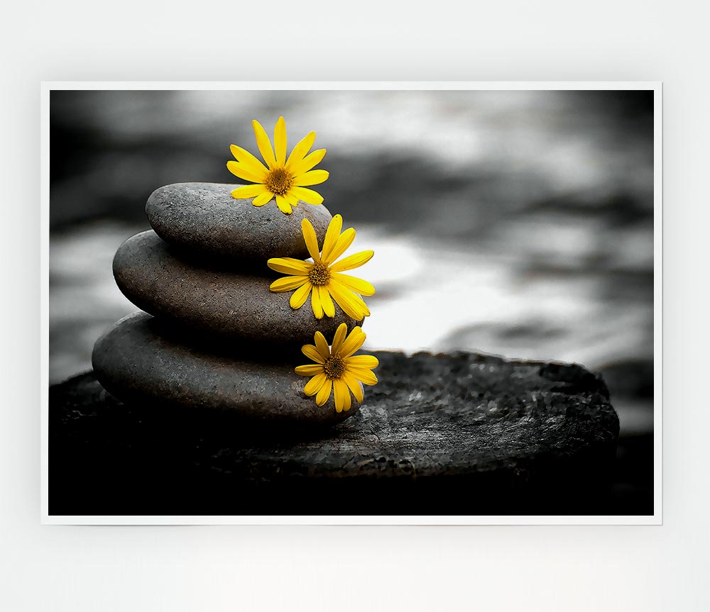 Zen Flowered Stones Print Poster Wall Art