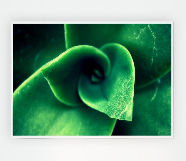 Green Light From The New Leaves Print Poster Wall Art