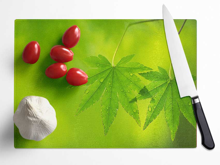 Branch With GreenDewsdrop Leaves Glass Chopping Board