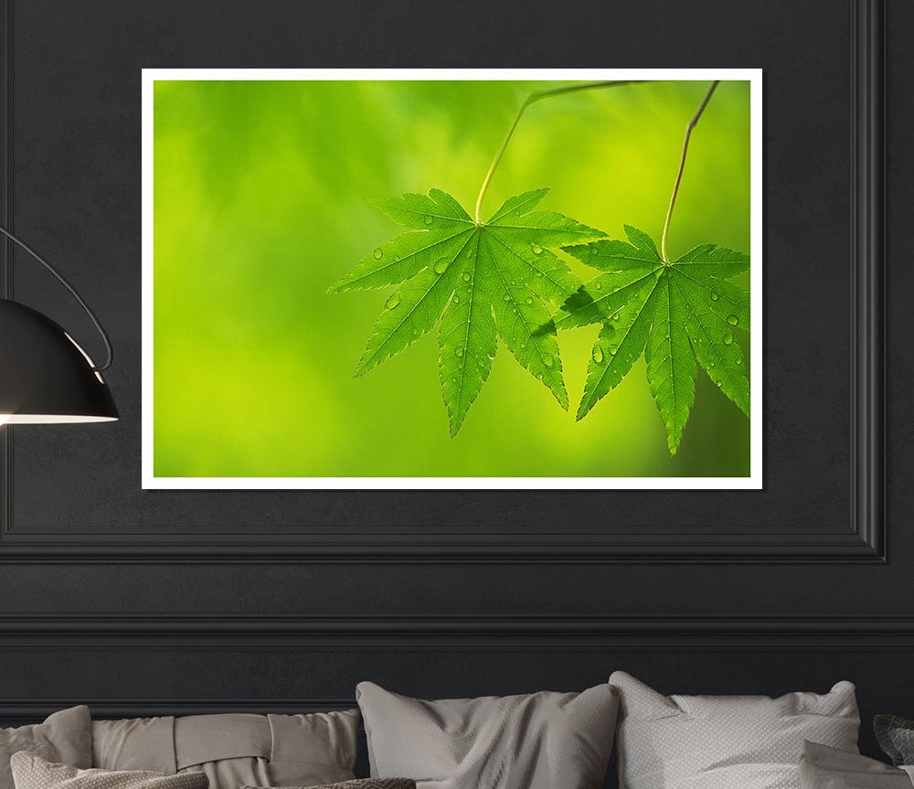 Branch With Greendewsdrop Leaves Print Poster Wall Art