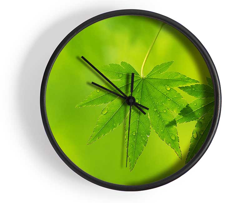 Branch With GreenDewsdrop Leaves Clock - Wallart-Direct UK