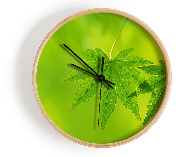 Branch With GreenDewsdrop Leaves Clock - Wallart-Direct UK