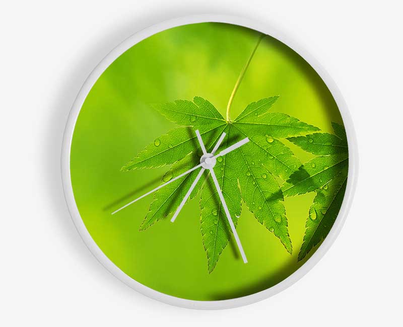 Branch With GreenDewsdrop Leaves Clock - Wallart-Direct UK