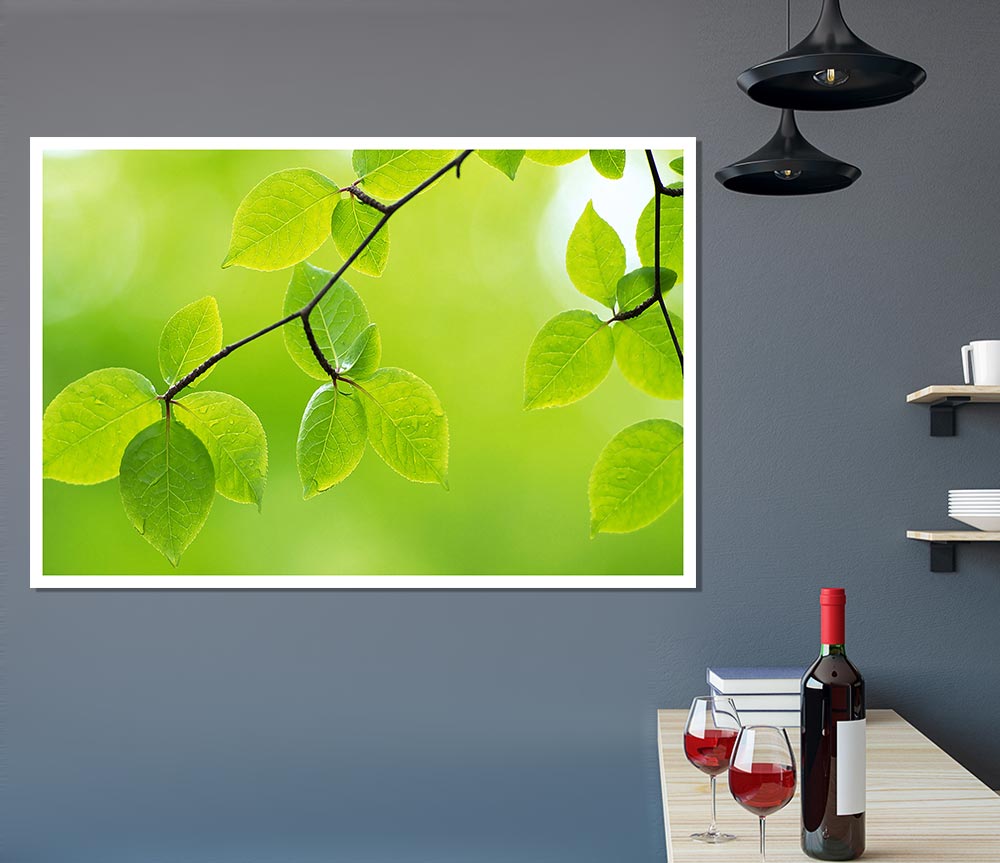 Branch With Green Leaves In The Sun Print Poster Wall Art