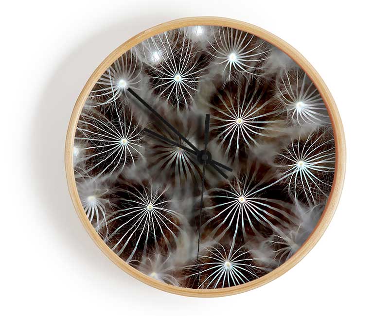 Macro Dandelion Clock - Wallart-Direct UK