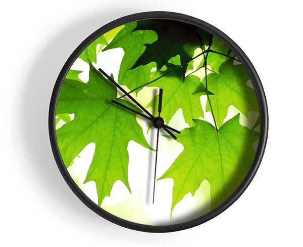 Summer Leaves Clock - Wallart-Direct UK