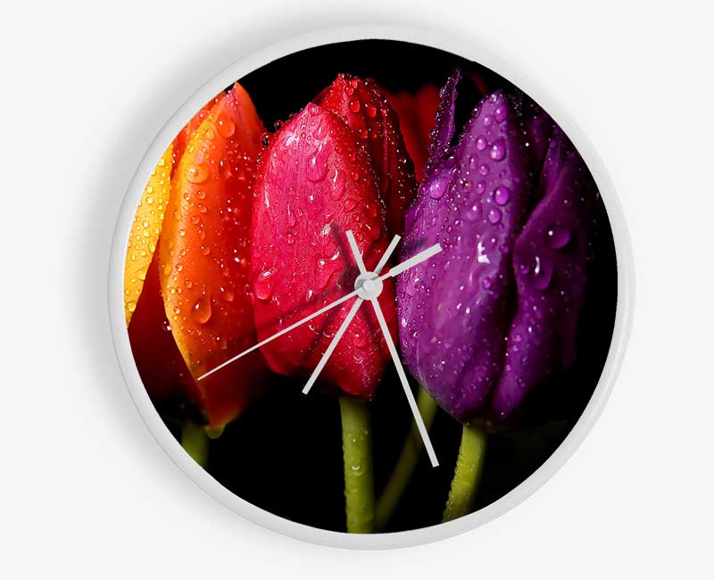 Colourful Tulips Clock - Wallart-Direct UK