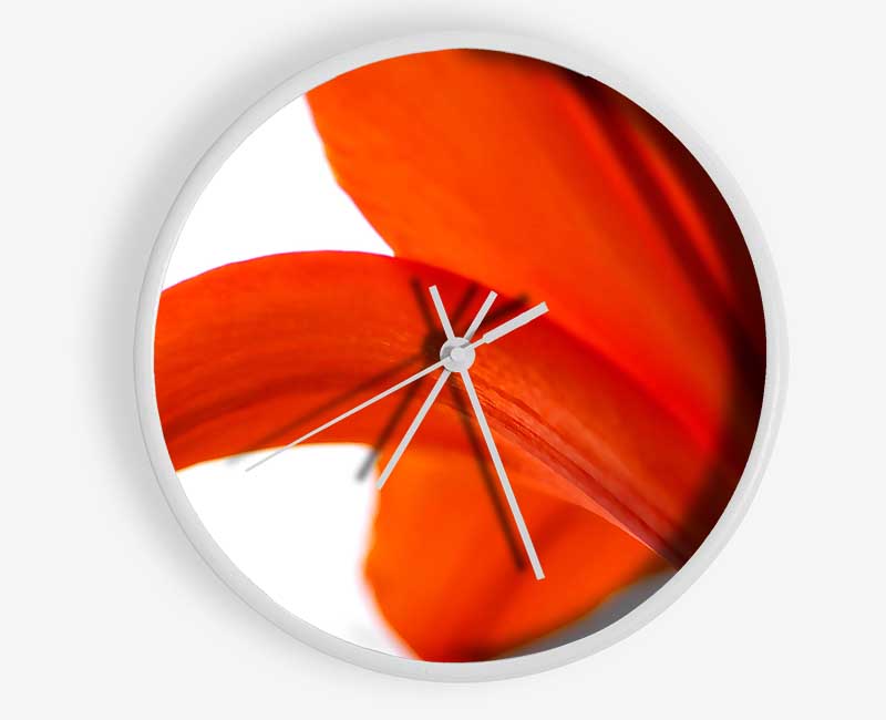 Lily On White Background Clock - Wallart-Direct UK