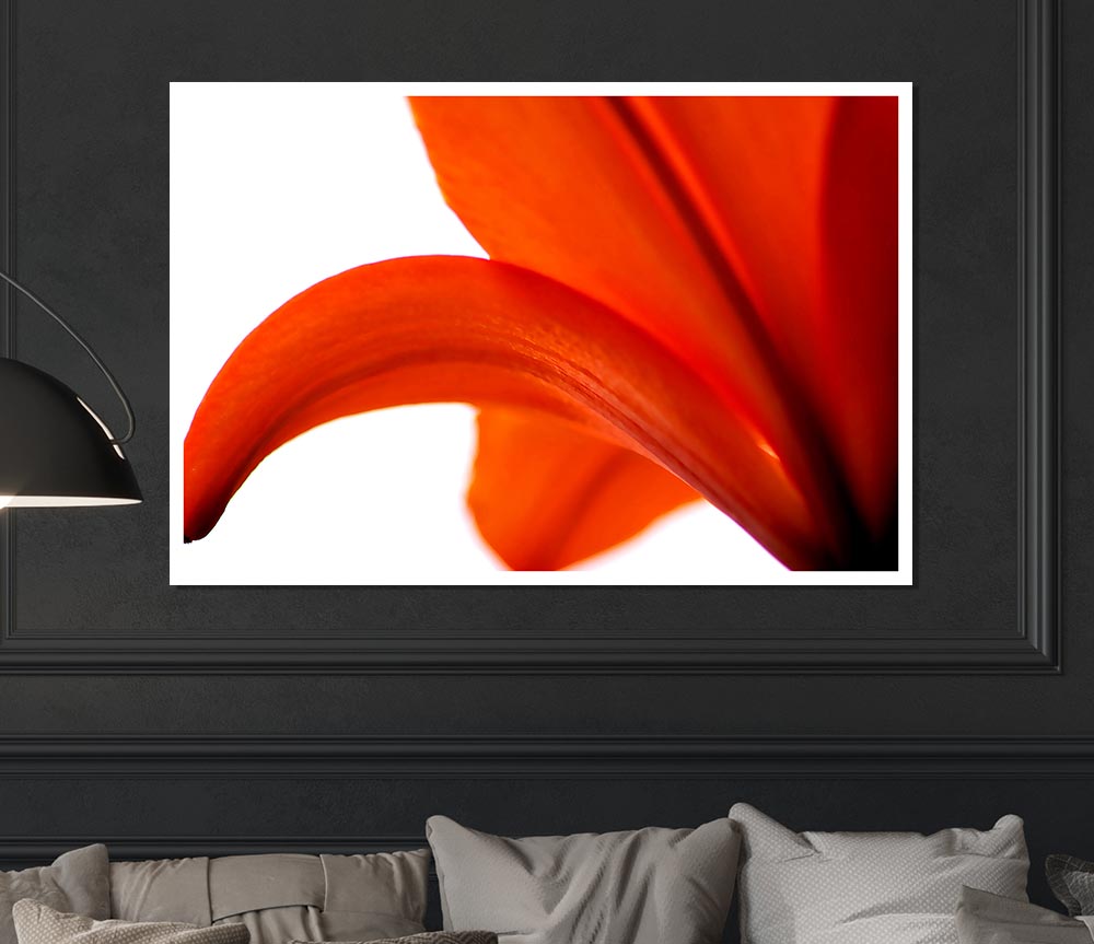 Lily On White Background Print Poster Wall Art